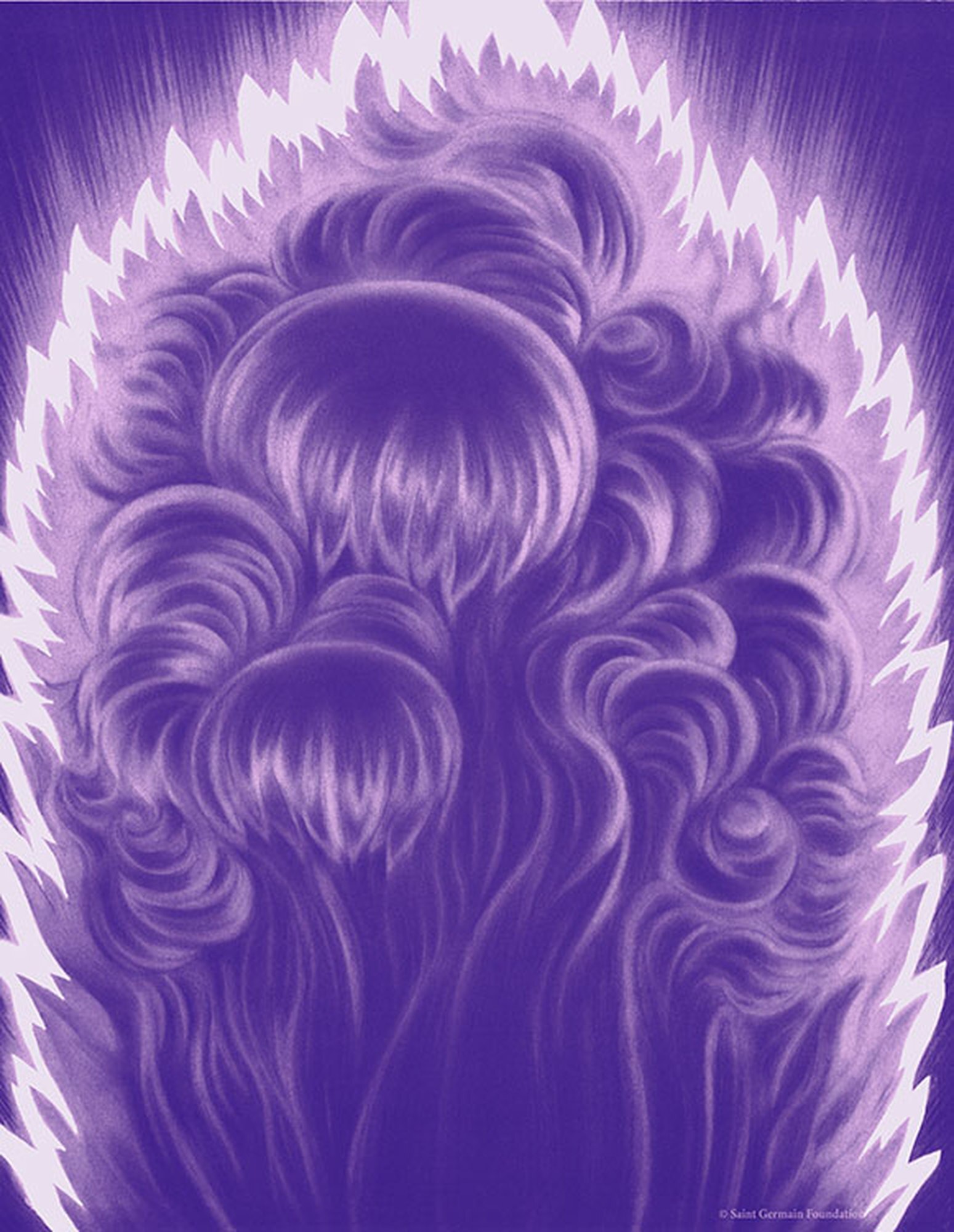 Llama Violeta